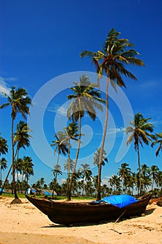 The beach of Goa-India. photo