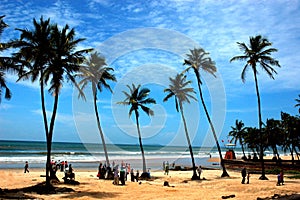 The beach of Goa-India. photo