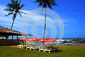 The beach of Goa-India. photo