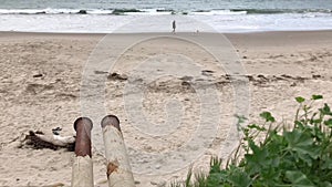 Beach Goer Casually Walks Dog Along Lonesome Beach 4K 30 fps