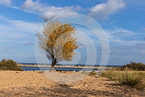 Beach in Gorki Zachodnie, Gdansk