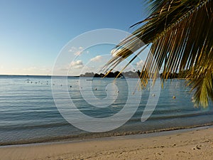 Beach Of Grand Baie