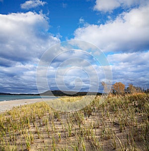 Beach Grass And Clouds