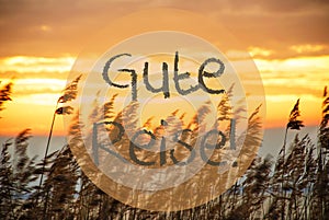 Beach Grass At Sunrise Or Sunset, Text Gute Reise Means Good Trip