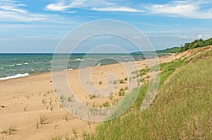 Beach Grasses on Dunes on a Sandy Beach