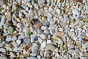 Beach of gravels and shells, Adriatic sea, Senigallia, Marche, Italy