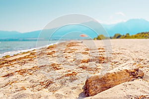 Beach in Greece with umbrella and selective focus on dry tree trunk in foreground, Mount Olymp in the background