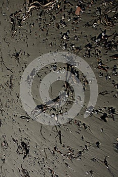 Beach ground macro modern background summer covid-19 season high quality prints kreta island