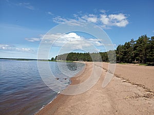 Beach of the Gulf of Finland, Russia