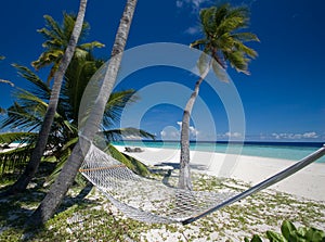 Beach hammock