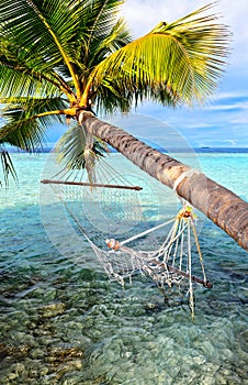 Beach hammock