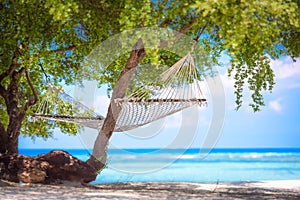 A beach hammock in the gili islands,bali 3 photo