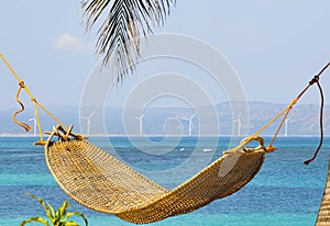Beach hammock in a tropical resort