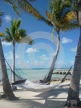 Beach hammocks photo