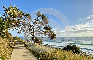 A beach hiking trail on the Gold Coast in Queensland, Australia