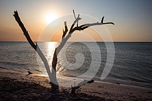 Beach at Holbox Island Mexico