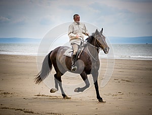 Beach horse rider