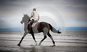 Beach horse rider