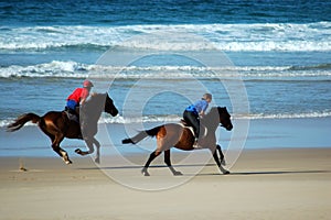 Beach horses photo