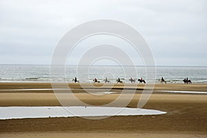 Beach and horses