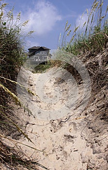 Beach House Framed with Dune
