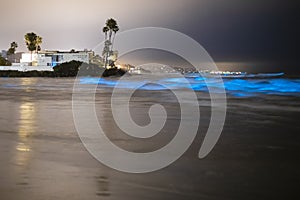 Beach house, palm trees, and bioluminescent tide makes the waves glow blue in Del Mar, California photo