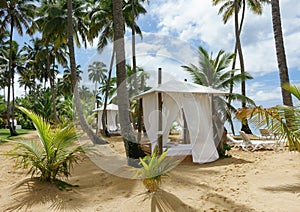 Beach hut on the beach