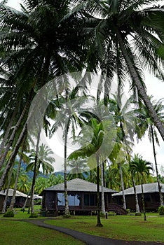 Beach huts in holidays resort, Malaysia photo