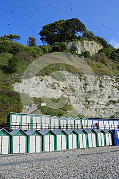 Beach huts on the Jurassic Coast