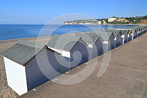 Beach huts in Seaton
