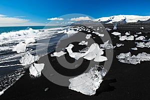 Beach with icebergs