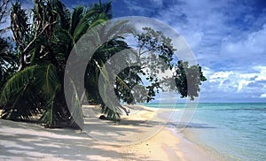 Beach on Ile Sainte Marie,Madadascar photo