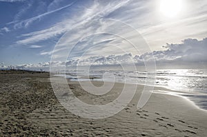 The beach and the industrial port of Livorno