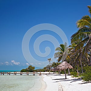 Beach on the Isla Contoy, Mexico photo