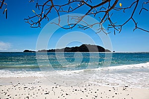 Beach Island Landscape photo