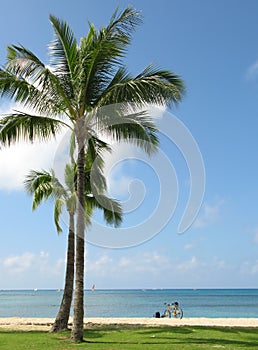 Beach - the island of Oahu, Hawaii. A photo from Lanikai Beach, Oahu, Hawaii.