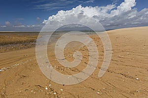 Beach on an island in Ria Formosa, Portugal