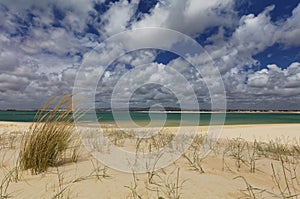 Beach on an island in Ria Formosa, Portugal