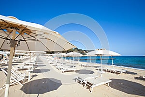 Beach and Italian Tyrrhenian coast with a multitude seamsless of beach umbrellas, deckchairs for vacationers. Trees and nature in photo