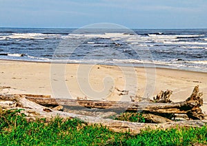 Beach ItanhaÃ©m tropical botanical Brazil ItanhaÃ©m waves SÃ£o Paulo