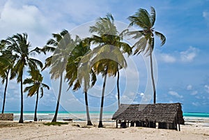 Beach of Jambiani, Zanzibar