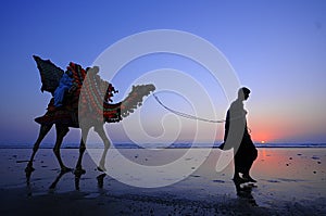 Beach of Karachi Sunset Camel