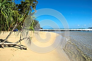 Beach in Kauai, Hawaii photo