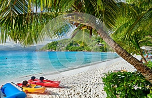 Beach with kayaks and palm tree at Seychelles