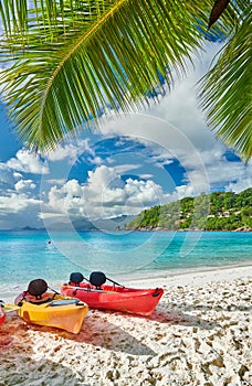 Beach with kayaks and palm tree at Seychelles