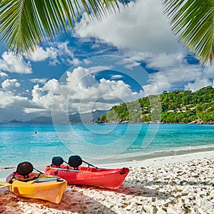 Beach with kayaks and palm tree at Seychelles