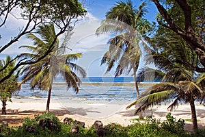 Beach in Kenya