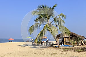 On the beach of kerala