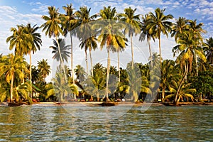 Beach on the Koh Kood island