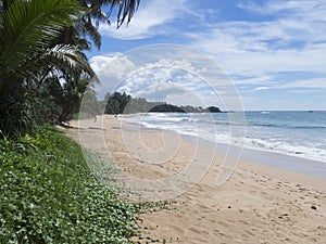 Beach in Kosgoda, Sri Lanka